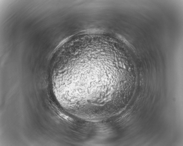 X0000059851213200510241455