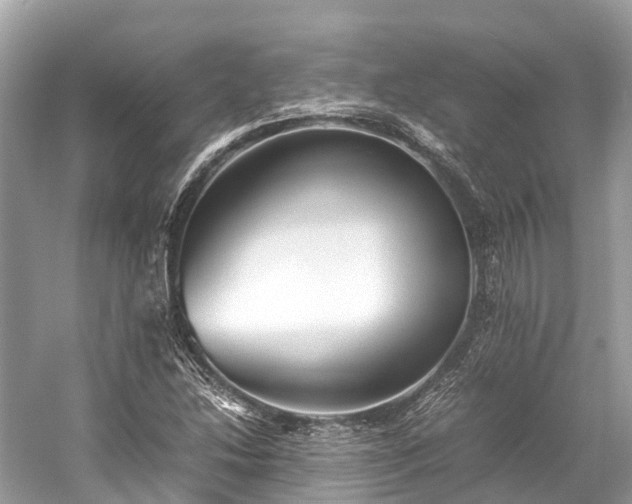 X0000059851214200510241455