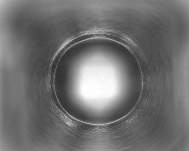 X0000059851216200510241455