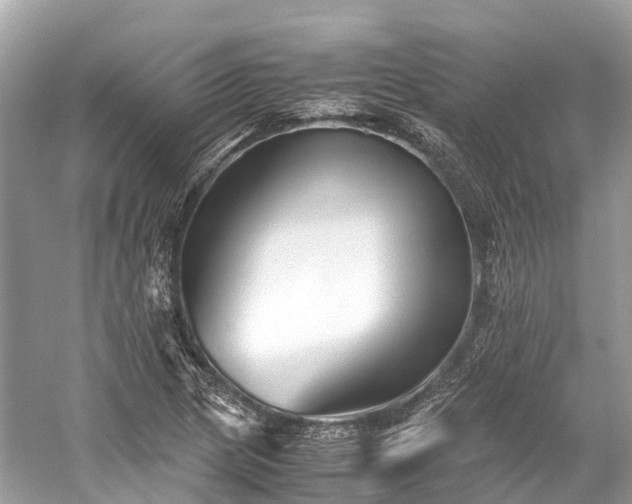 X0000059851217200510241455