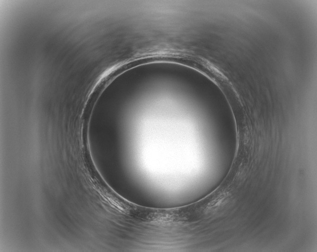X0000059851222200510241455