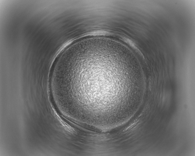X0000059851229200510241455