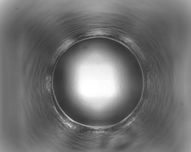 X0000059851233200510241455