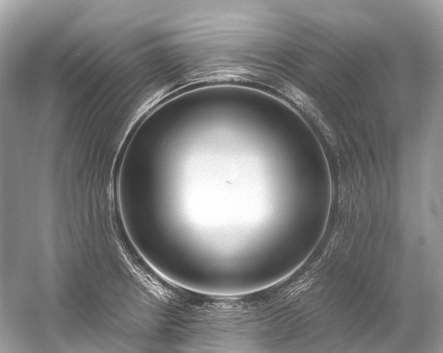 X0000059851234200510241455
