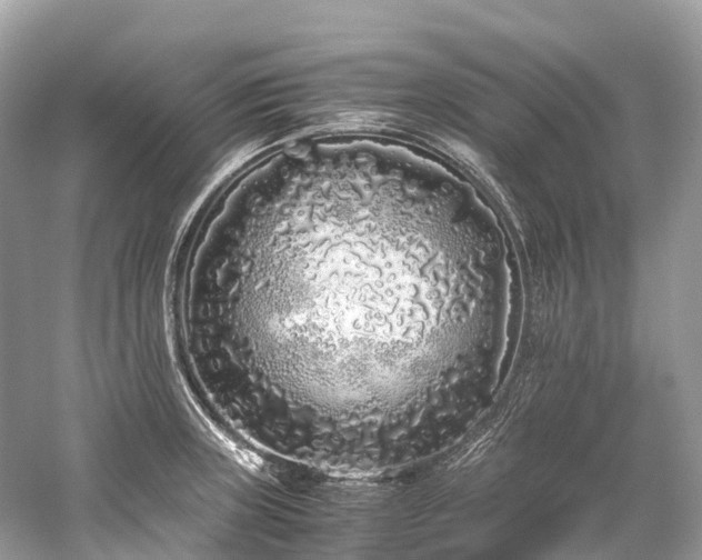 X0000059851235200510241455