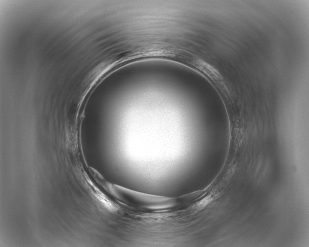 X0000059851236200510241455