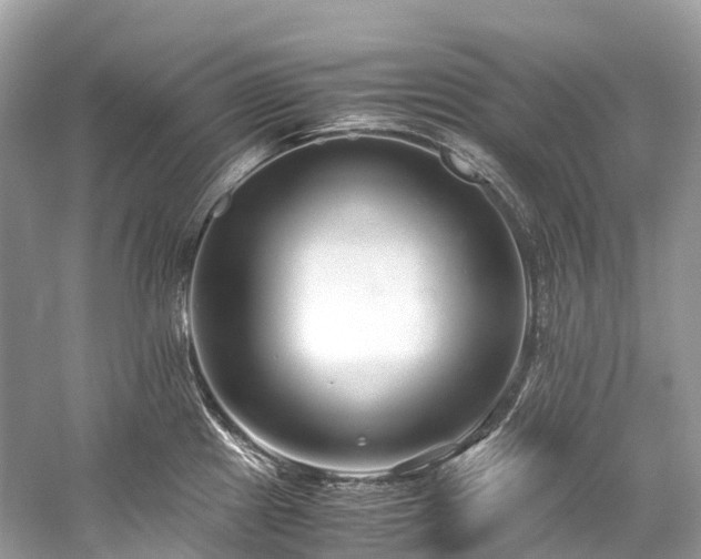 X0000059851241200510241455