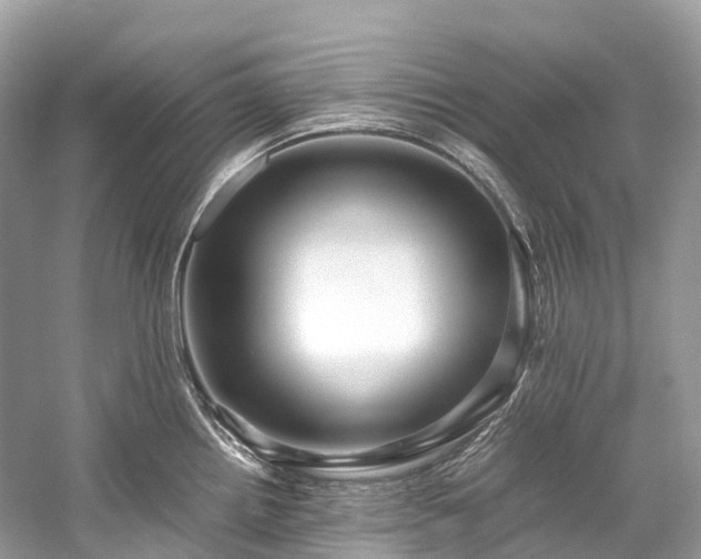 X0000059851242200510241455