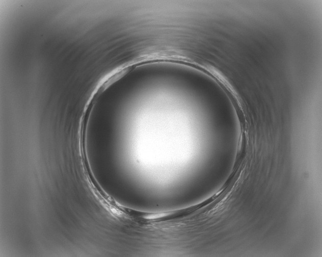 X0000059851246200510241456