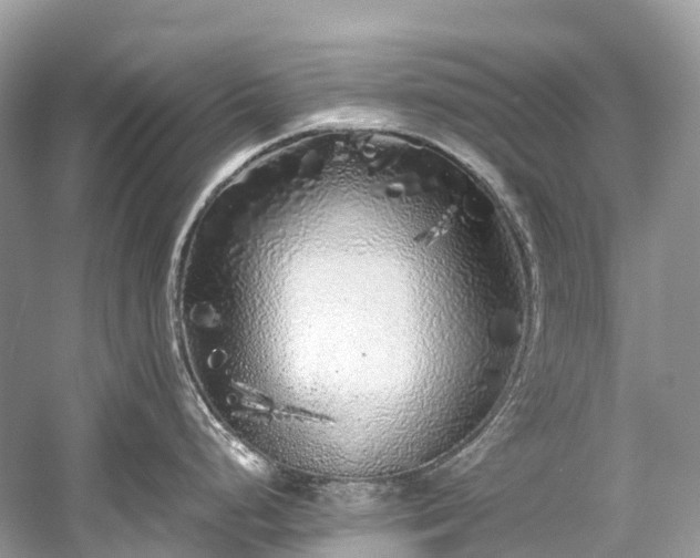 X0000059851248200510241456