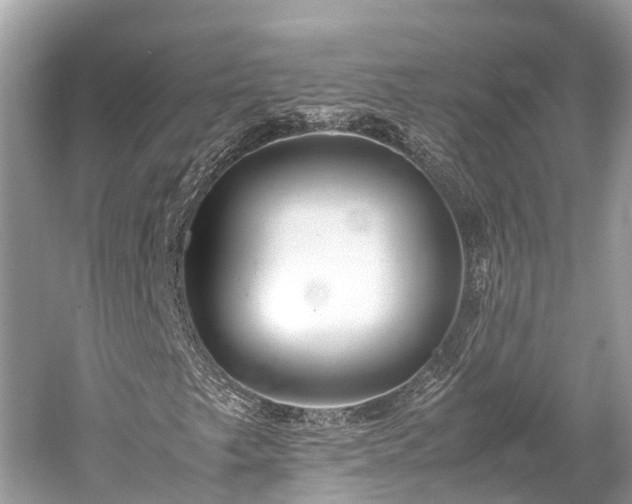 X0000059851249200510241455