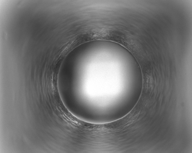 X0000059851250200510241455