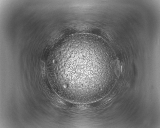 X0000059851251200510241455