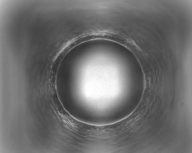 X0000059851256200510241455