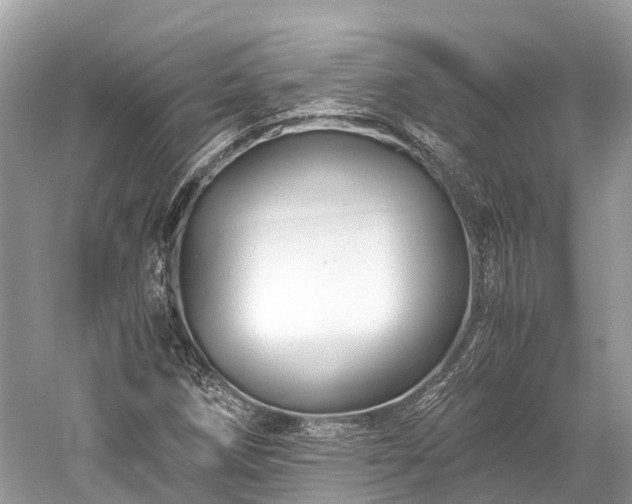 X0000059851258200510241455