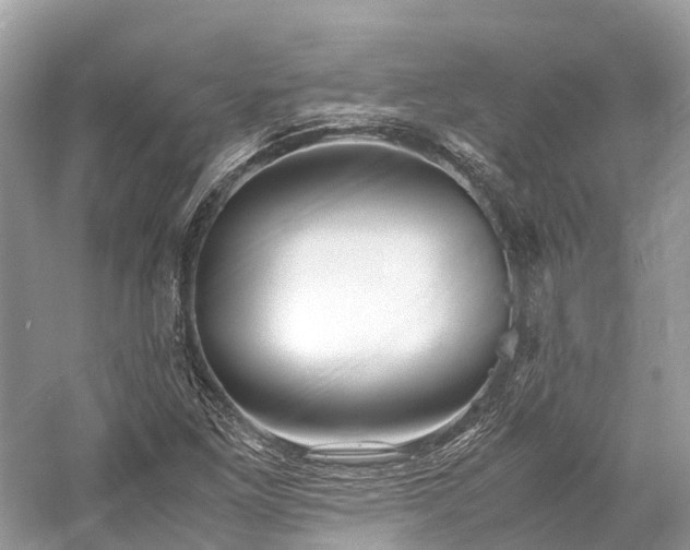 X0000059851261200510241455