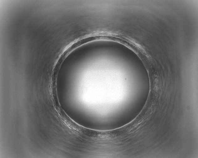 X0000059851264200510241455