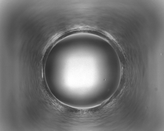X0000059851269200510241454