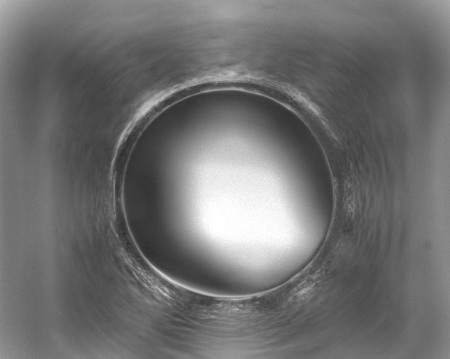 X0000059851270200510241454