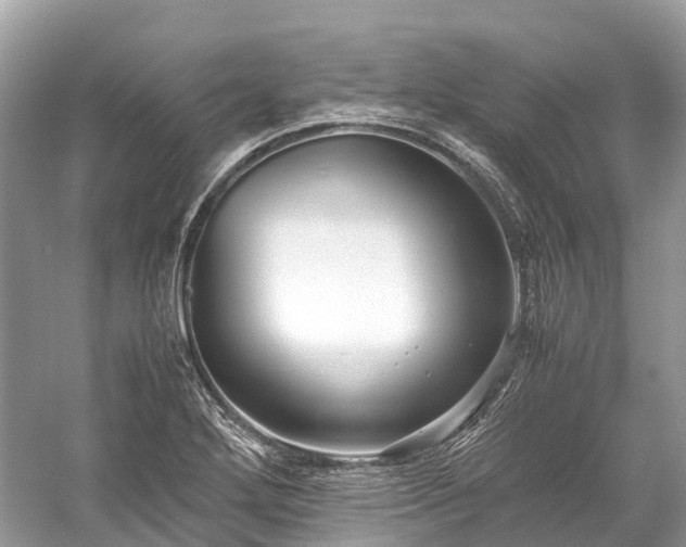 X0000059851272200510241454
