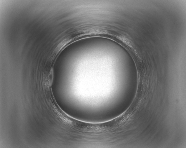 X0000059851273200510241454