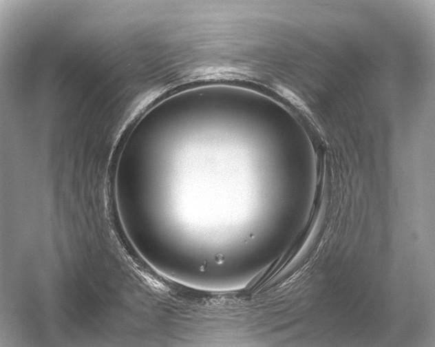 X0000059851277200510241454