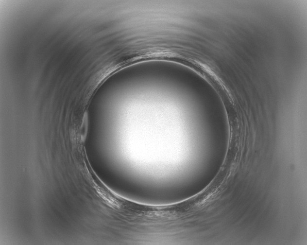 X0000059851281200510241454