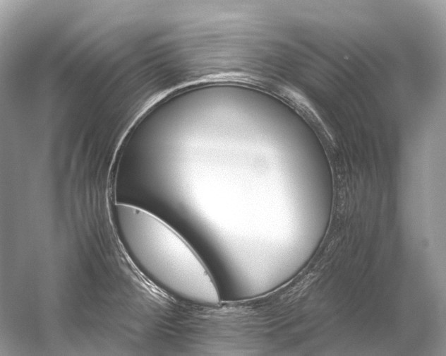 X0000059851284200510241454