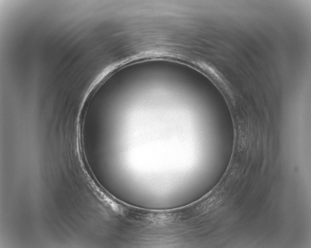 X0000059851286200510241454