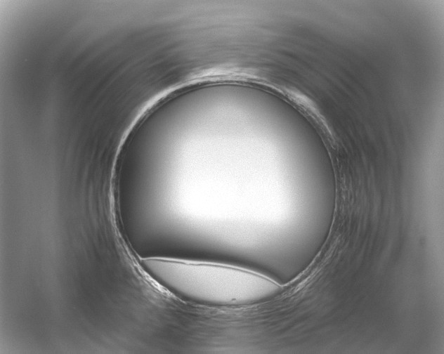 X0000059851288200510241454