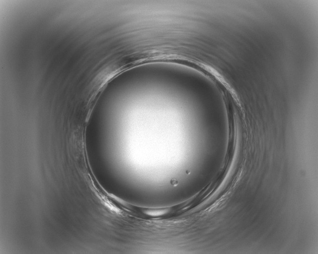 X0000059851289200510241454