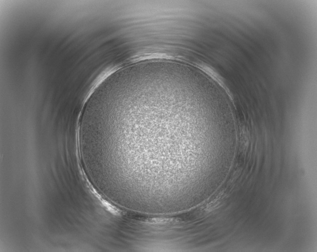 X0000059851290200510241454