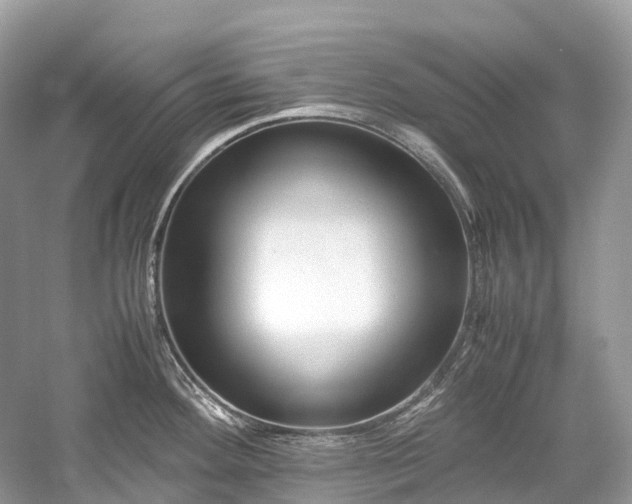 X0000059851292200510241454