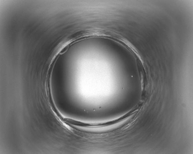 X0000059851293200510241454