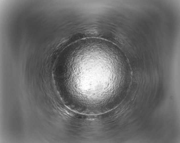 X0000059851297200510241453