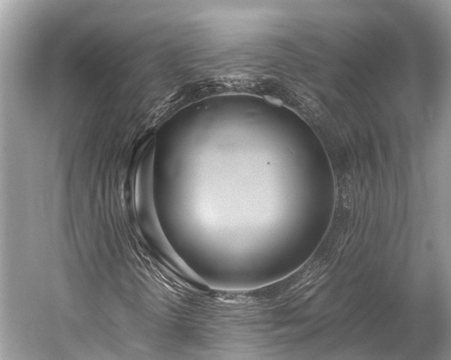 X0000059851298200510241453