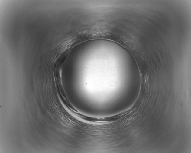 X0000059851300200510241453
