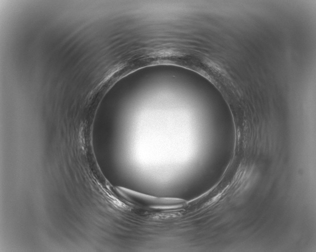 X0000059851305200510241453