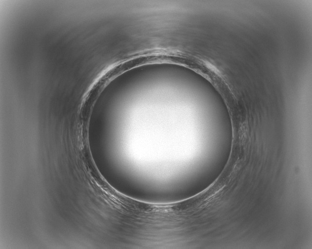 X0000059851310200510241453