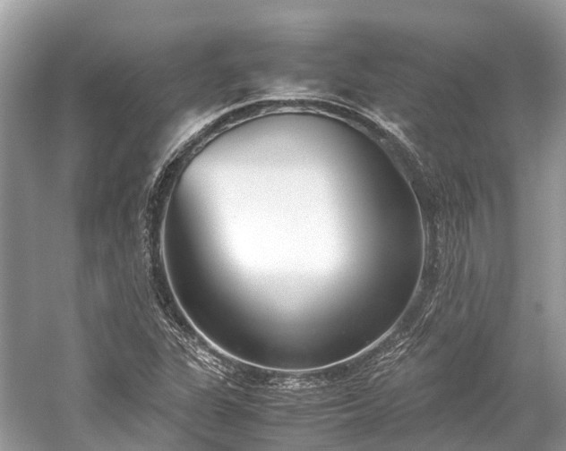 X0000059851311200510241453