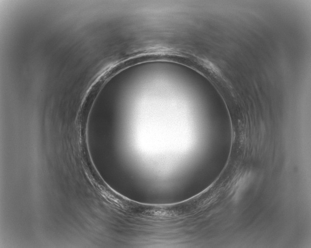 X0000059851318200510241453