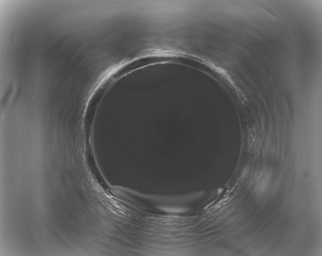 X0000059851319200510241453