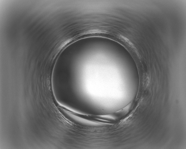 X0000059851321200510241453