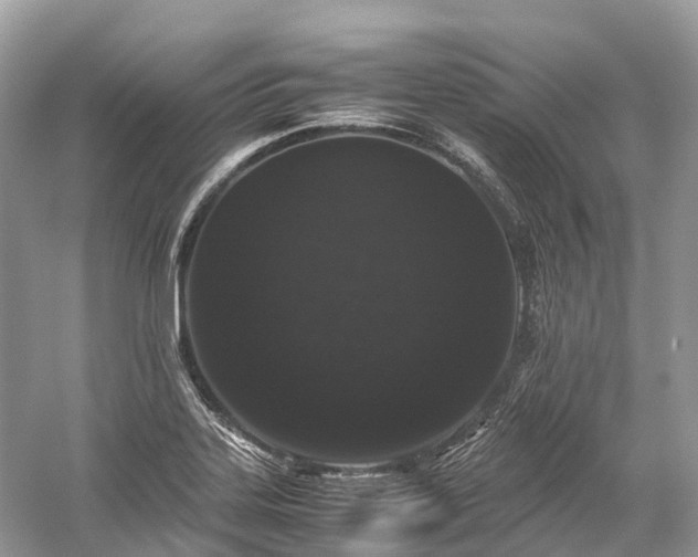 X0000059851323200510241453