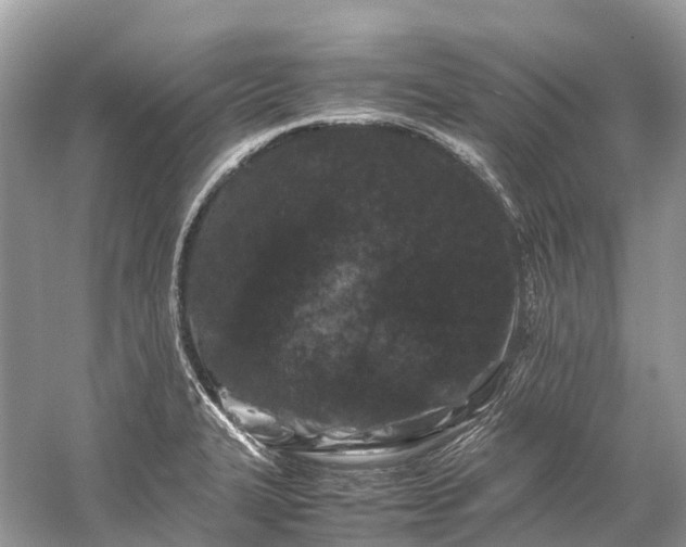 X0000059851327200510241453