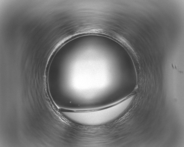 X0000059851332200510241453