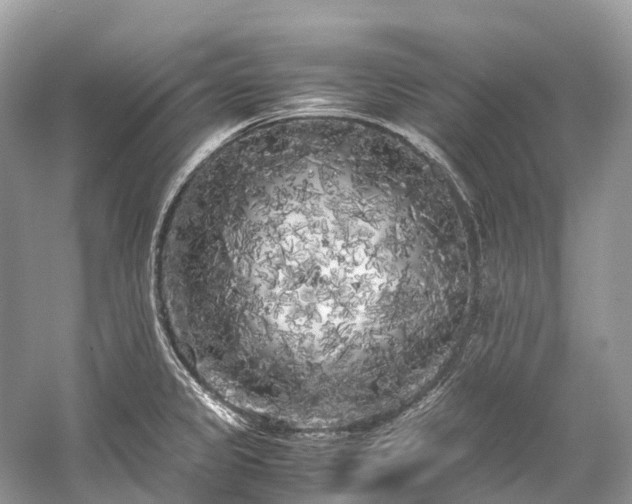 X0000059851333200510241453