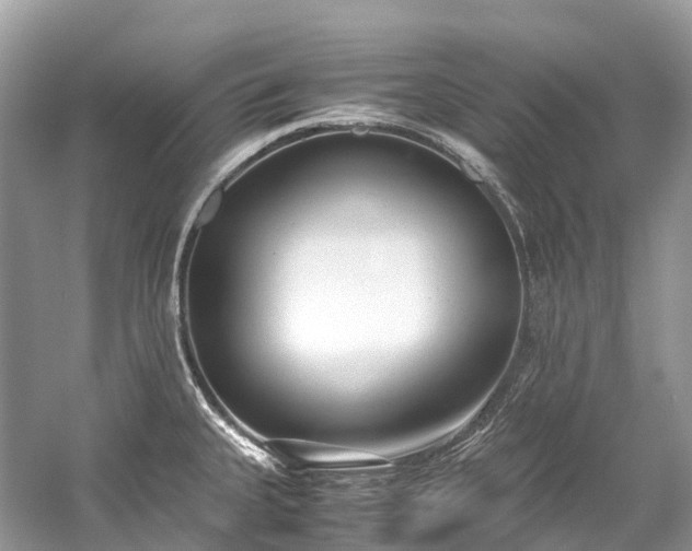 X0000059851335200510241453