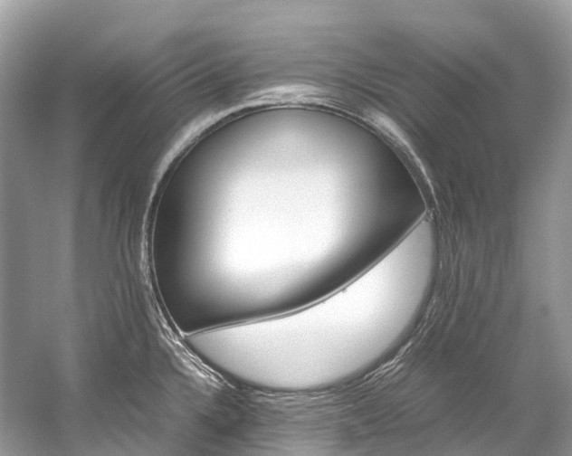 X0000059851336200510241453
