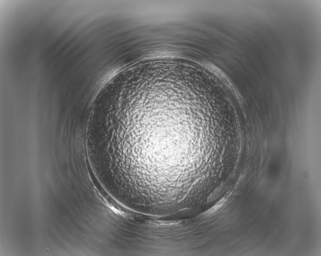 X0000059851337200510241453